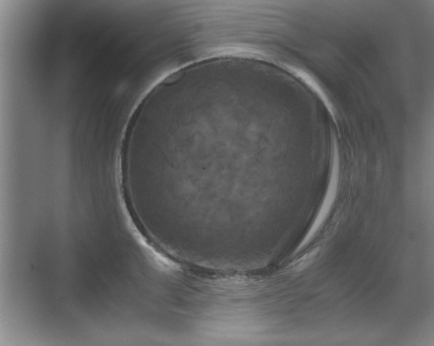 X0000071780999200607071425