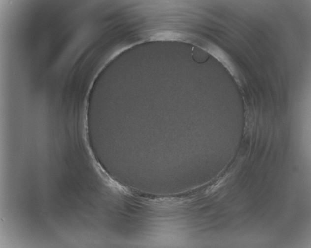 X0000071781000200607071425