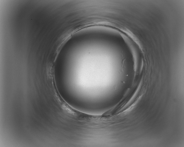 X0000071781001200607071425