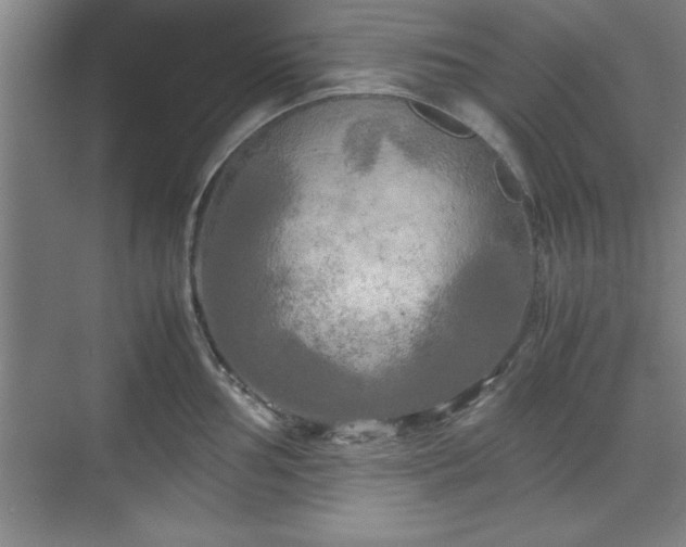 X0000071781002200607071425