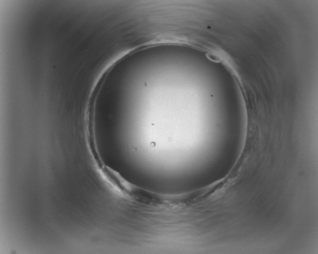 X0000071781003200607071425