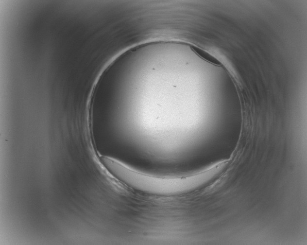 X0000071781004200607071425