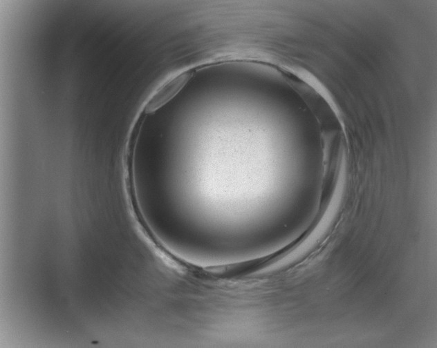 X0000071781005200607071425