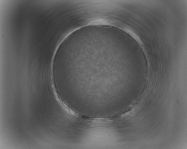 X0000071781008200607071425