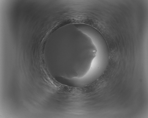 X0000071781009200607071424