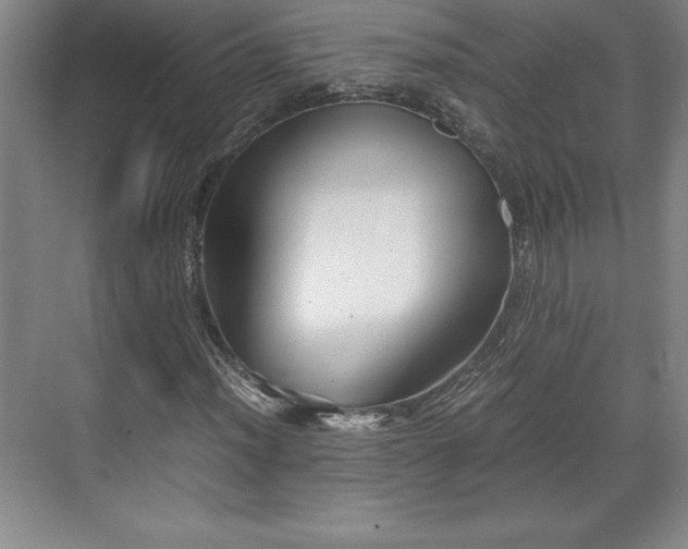 X0000071781012200607071424