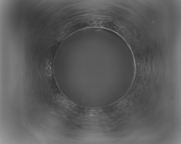 X0000071781013200607071424