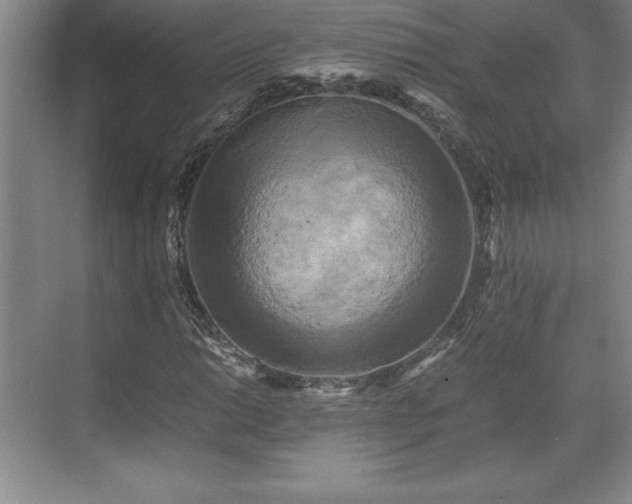 X0000071781014200607071424