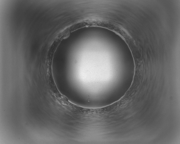 X0000071781016200607071424