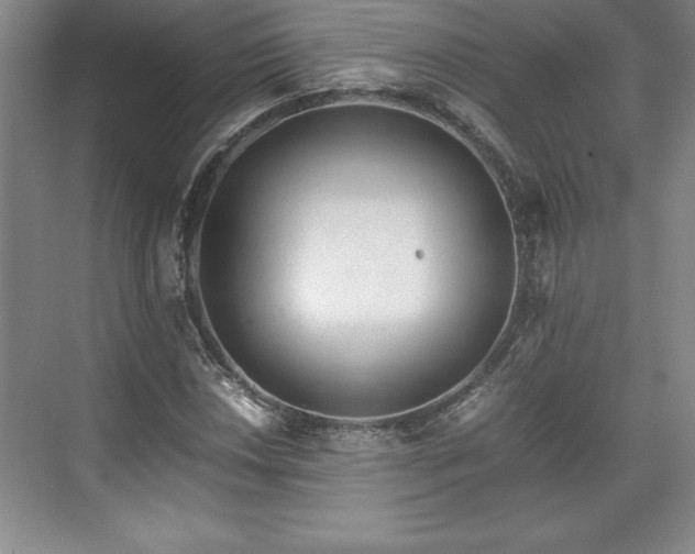 X0000071781018200607071424