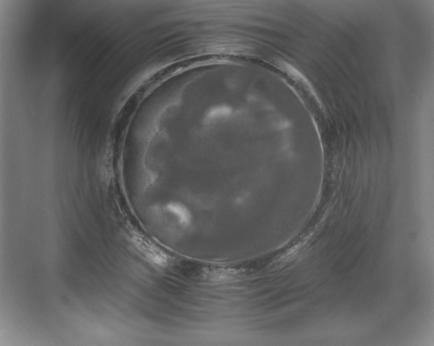 X0000071781019200607071424