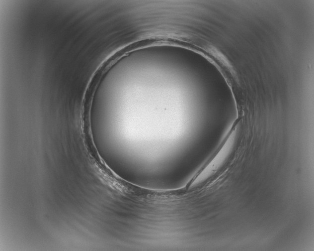 X0000071781020200607071424