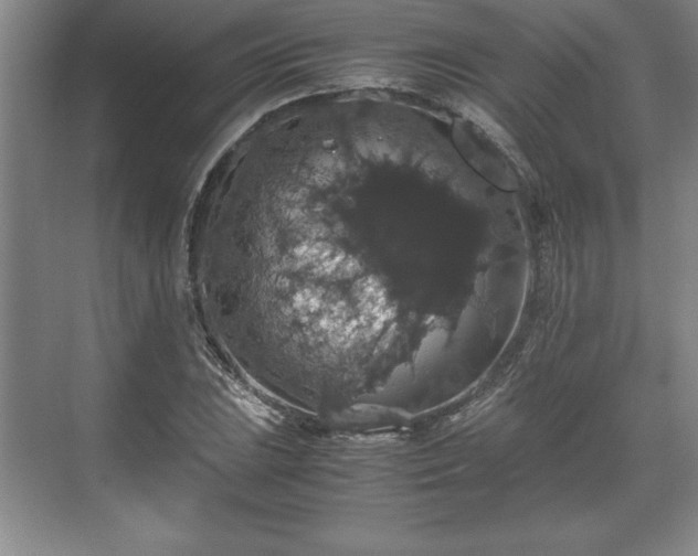 X0000071781023200607071424