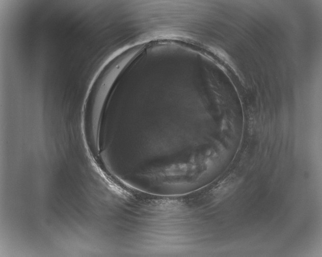 X0000071781024200607071424