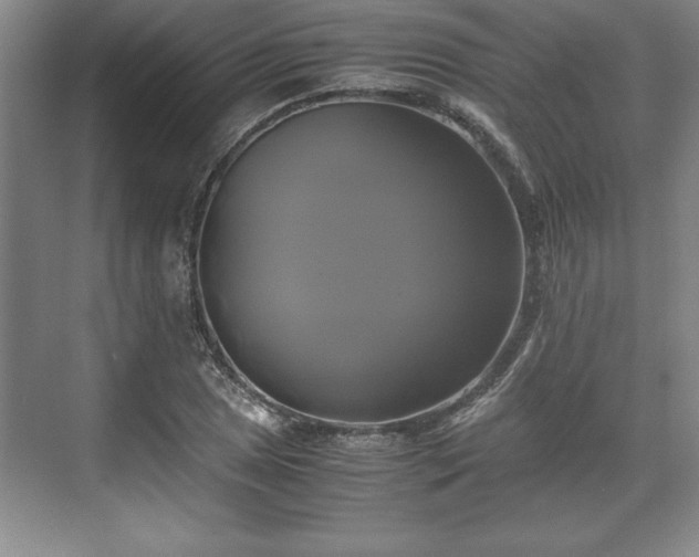 X0000071781025200607071424