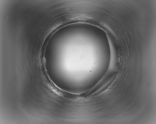 X0000071781026200607071424