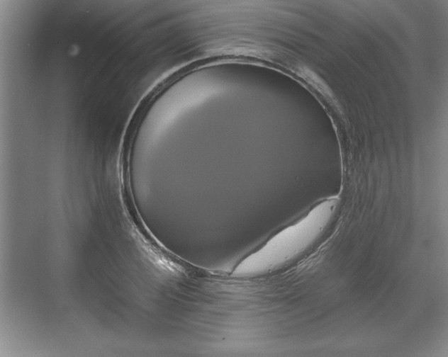 X0000071781028200607071424