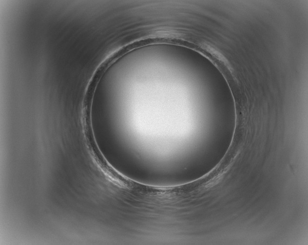 X0000071781029200607071424