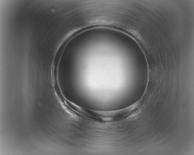 X0000071781030200607071424