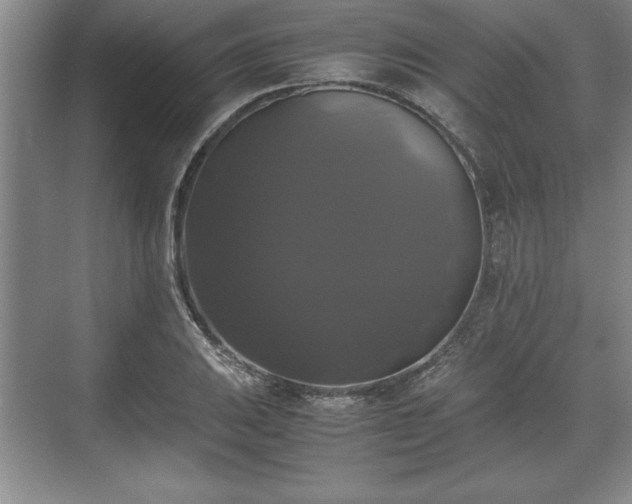 X0000071781031200607071424