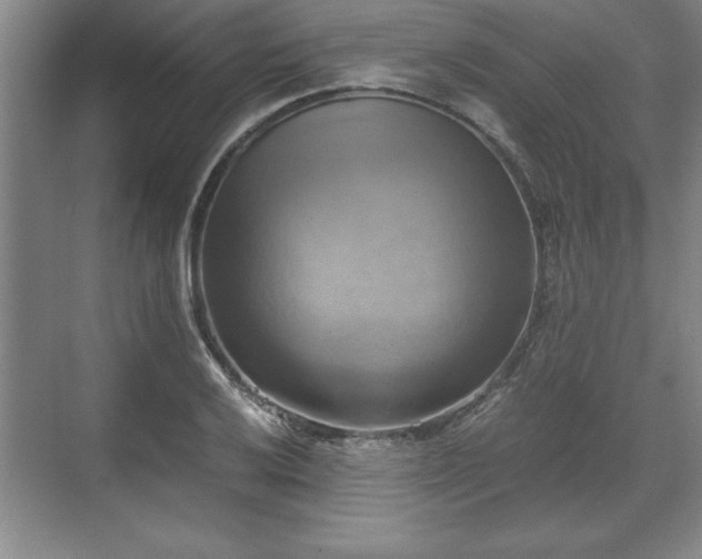 X0000071781032200607071424