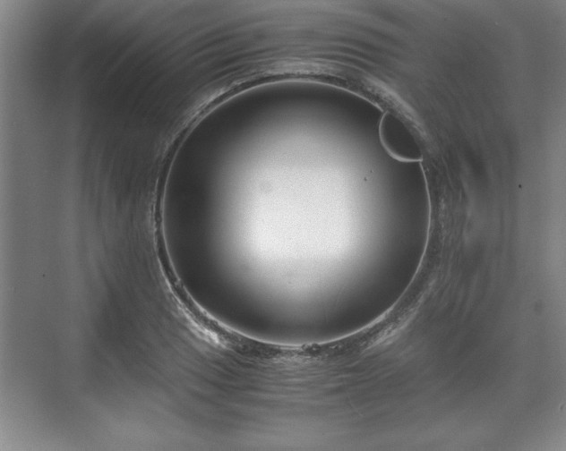 X0000071781033200607071424