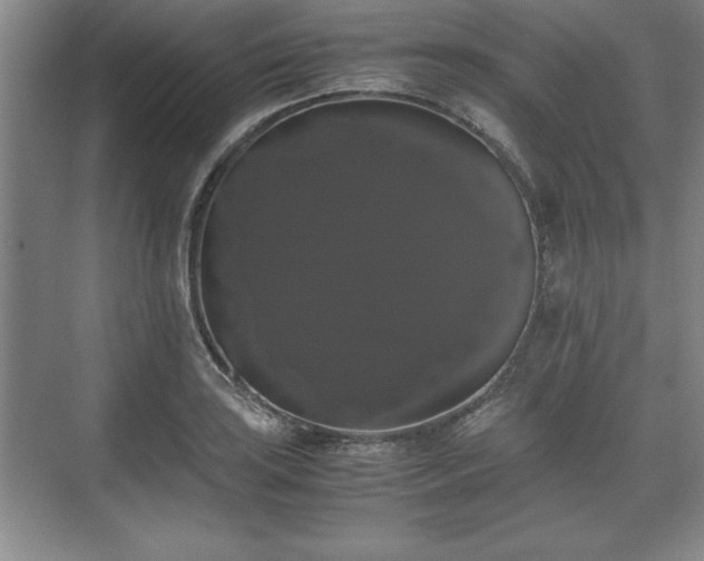 X0000071781035200607071424