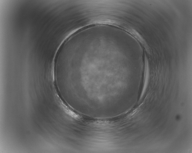 X0000071781036200607071424