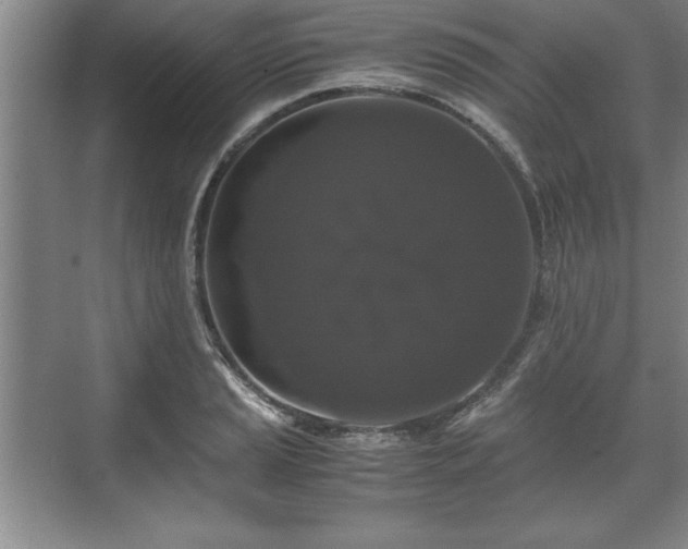 X0000071781037200607071424