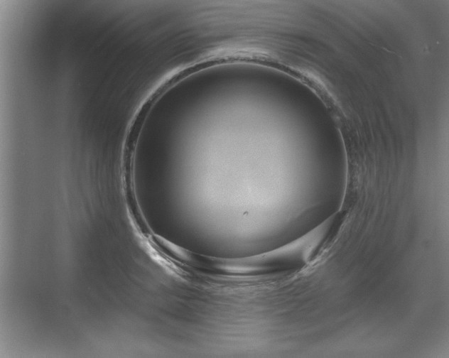 X0000071781038200607071424