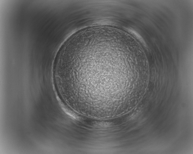 X0000071781039200607071424