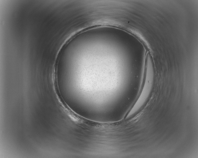 X0000071781040200607071424