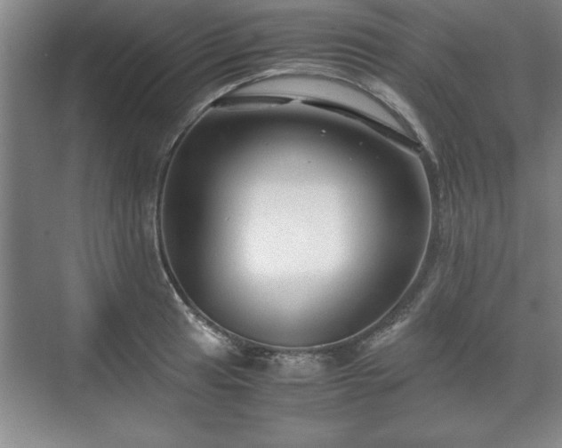 X0000071781041200607071424