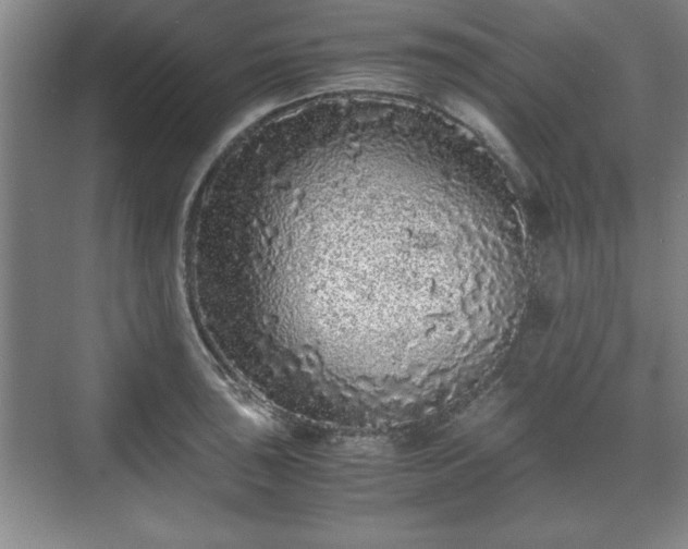 X0000071781043200607071425