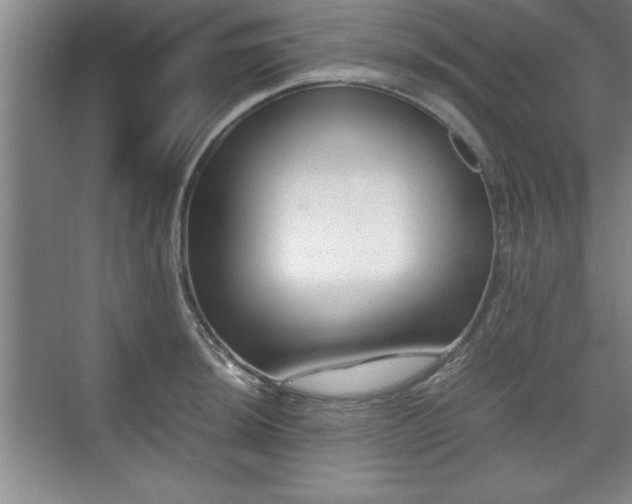 X0000071781044200607071425