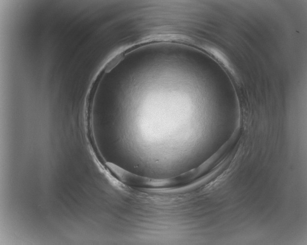 X0000071781046200607071425