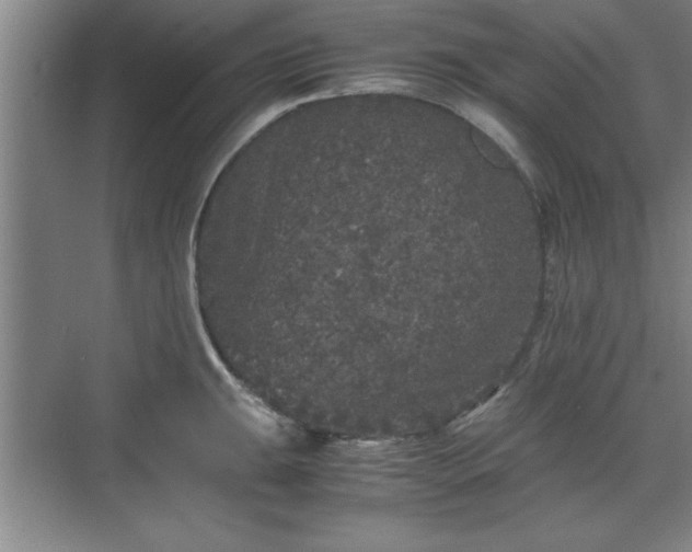 X0000071781047200607071425