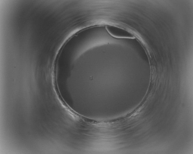 X0000071781048200607071425