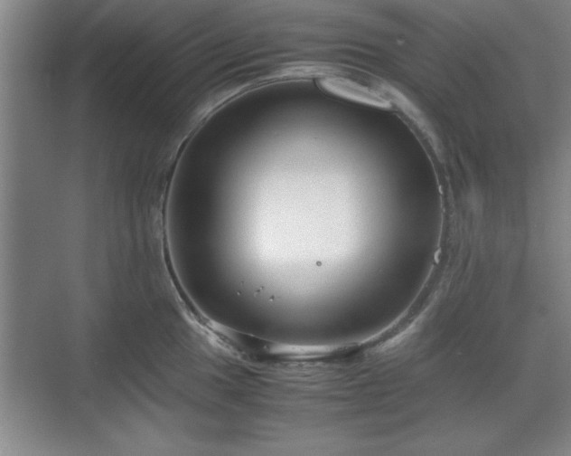 X0000071781049200607071425