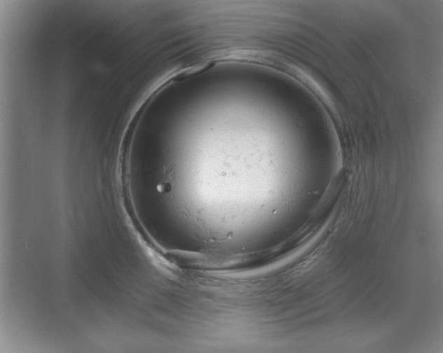 X0000071781050200607071425