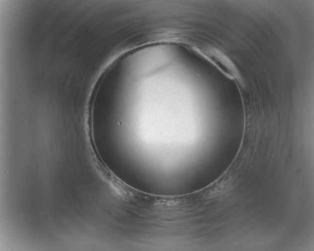 X0000071781051200607071425