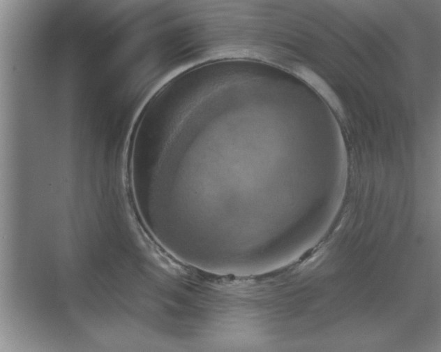 X0000071781052200607071425