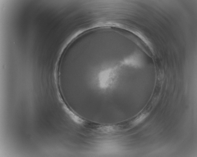 X0000071781054200607071425