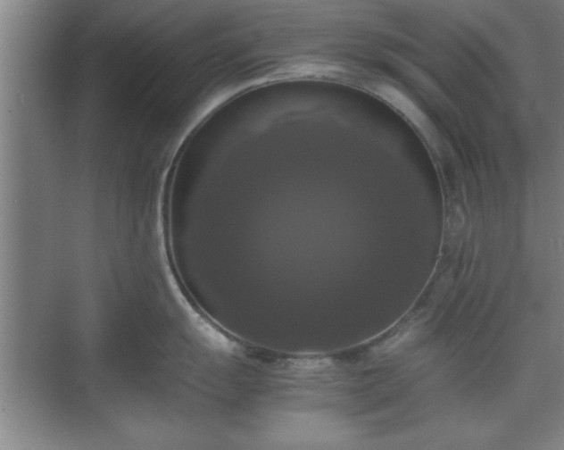 X0000071781055200607071425