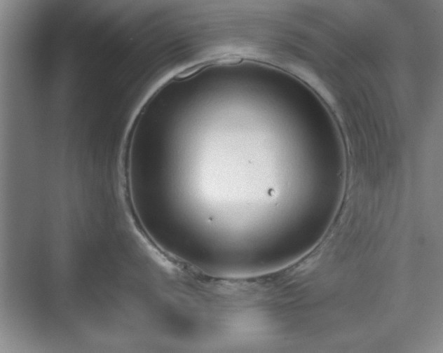 X0000071781056200607071425