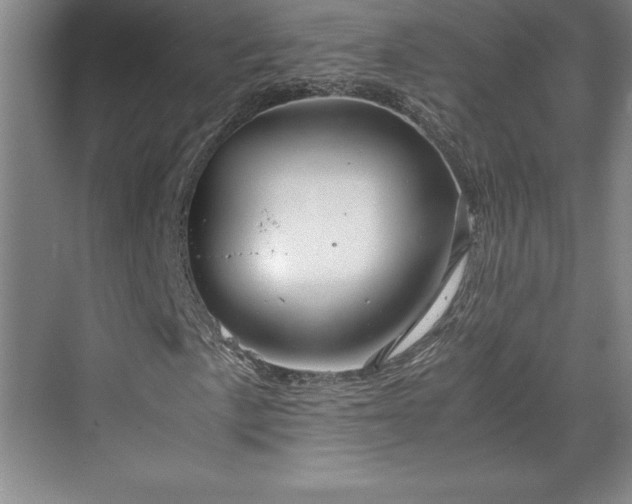 X0000071781057200607071424