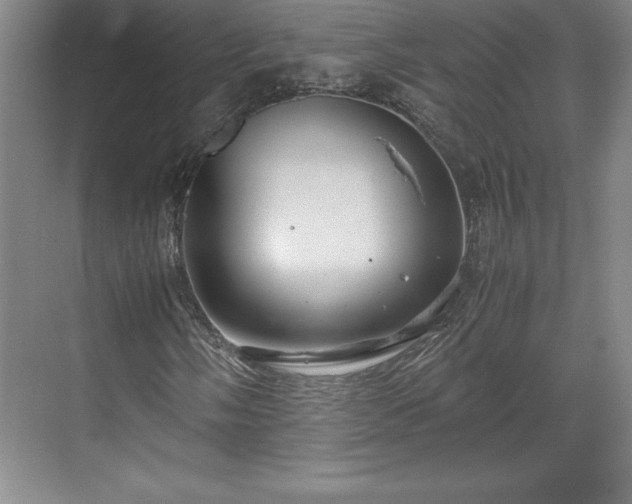 X0000071781058200607071424