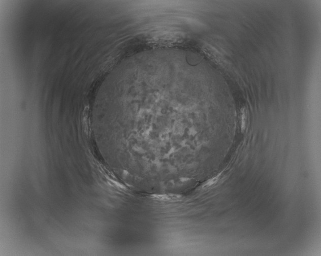 X0000071781059200607071424