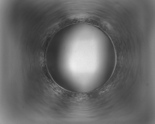 X0000071781062200607071424