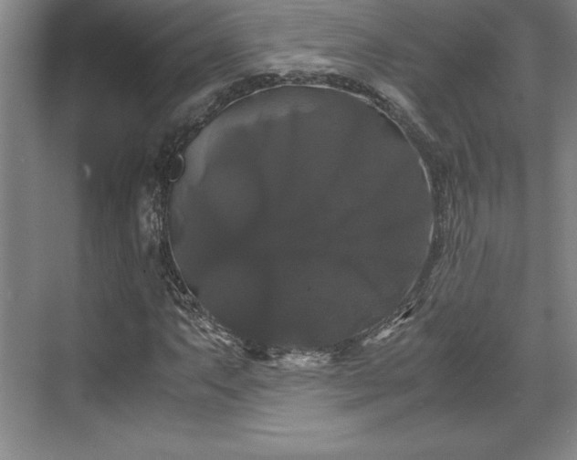 X0000071781063200607071424